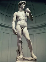 David